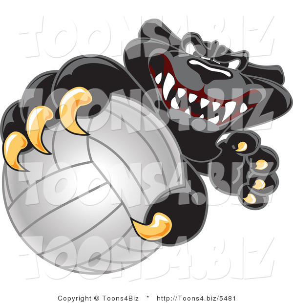Vector Illustration of a Cartoon Black Jaguar Mascot Grabbing a Volleyball