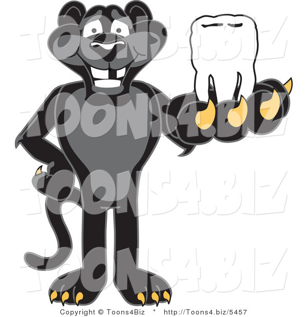 Vector Illustration of a Cartoon Black Jaguar Mascot Holding a Tooth