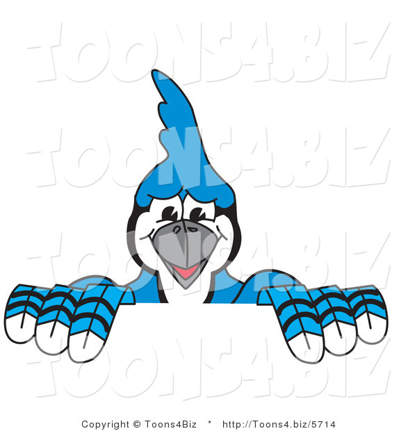 Vector Illustration of a Cartoon Blue Jay Mascot Holding up a Sign