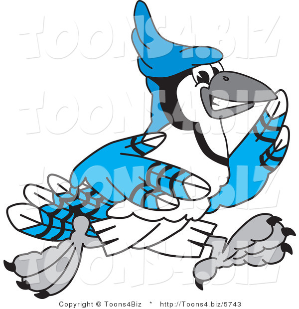 Vector Illustration of a Cartoon Blue Jay Mascot Running