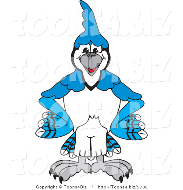 Vector Illustration of a Cartoon Blue Jay Mascot Standing with His Hands on His Hips