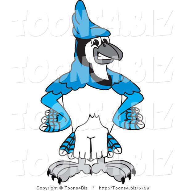 Vector Illustration of a Cartoon Blue Jay Mascot with His Hands on His Hips