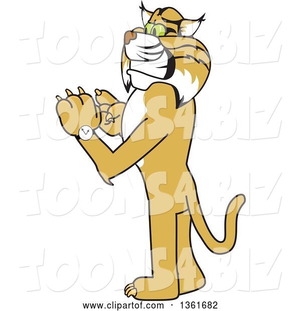 Vector Illustration of a Cartoon Bobcat Mascot Checking His Watch for the Time, Symbolizing Dependability