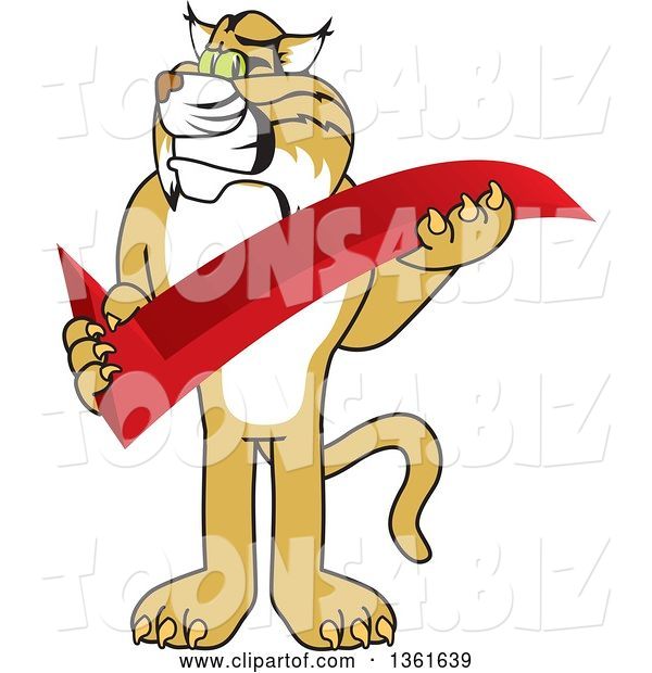 Vector Illustration of a Cartoon Bobcat Mascot Holding a Check Mark, Symbolizing Acceptance