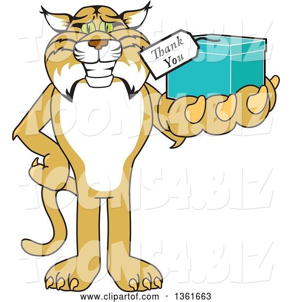Vector Illustration of a Cartoon Bobcat Mascot Holding up a Thank You Gift, Symbolizing Gratitude