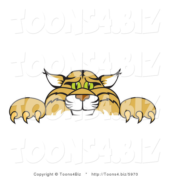 Vector Illustration of a Cartoon Bobcat Mascot Looking over a Sign