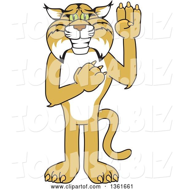 Vector Illustration of a Cartoon Bobcat Mascot Pledging, Symbolizing Integrity