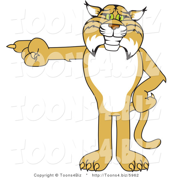 Vector Illustration of a Cartoon Bobcat Mascot Pointing Left