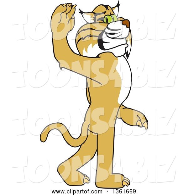 Vector Illustration of a Cartoon Bobcat Mascot Walking and Waving, Symbolizing Leadership