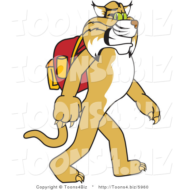 Vector Illustration of a Cartoon Bobcat Mascot Walking to School