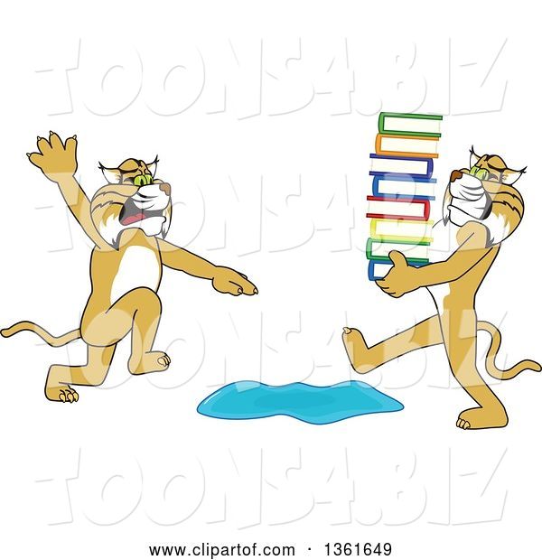 Vector Illustration of a Cartoon Bobcat Mascot Warning Another That Is Carrying a Stack of Books About a Puddle, Symbolizing Being Proactive