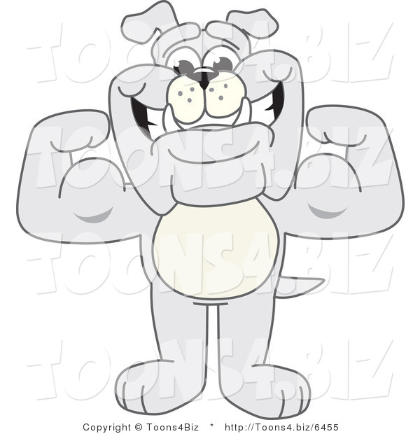 Vector Illustration of a Cartoon Bulldog Mascot Standing and Flexing
