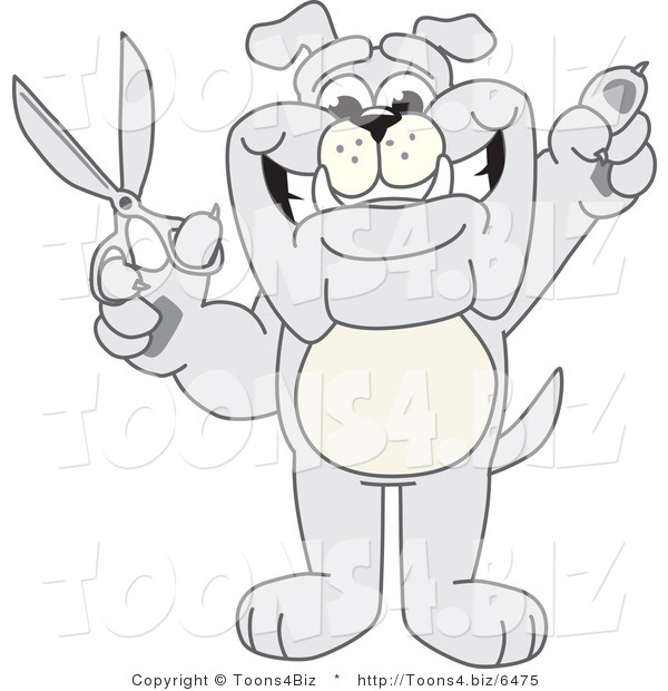 Vector Illustration of a Cartoon Bulldog Mascot Standing and Holding up Scissors