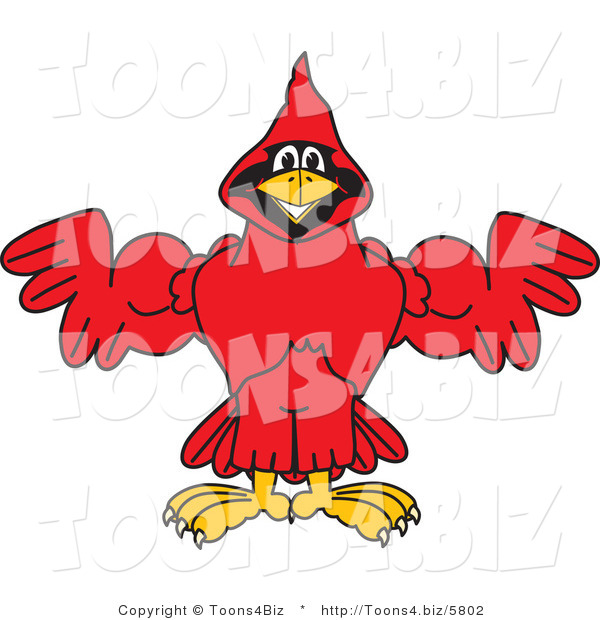 Vector Illustration of a Cartoon Cardinal Mascot Flexing