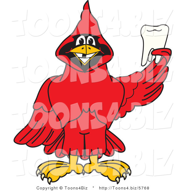 Vector Illustration of a Cartoon Cardinal Mascot Holding a Tooth