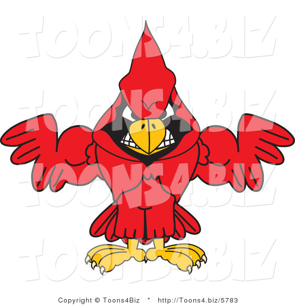 Vector Illustration of a Cartoon Cardinal Mascot with Strong Arms