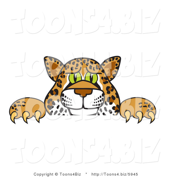 Vector Illustration of a Cartoon Cheetah Mascot Looking over a Surface