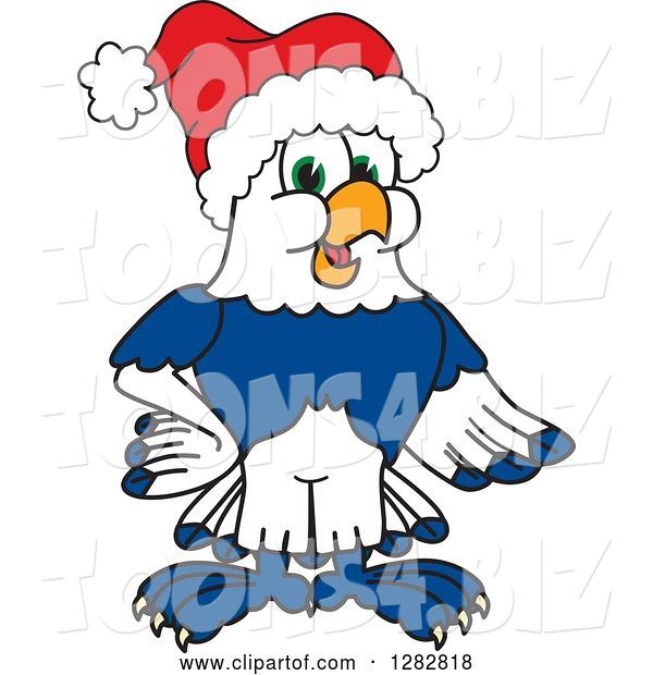 Vector Illustration of a Cartoon Christmas Seahawk Mascot Wearing a Santa Hat