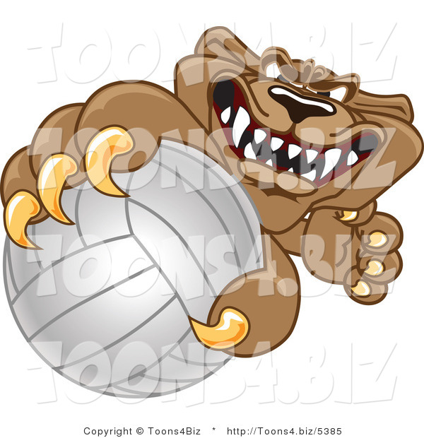 Vector Illustration of a Cartoon Cougar Mascot Character Grabbing a Volleyball