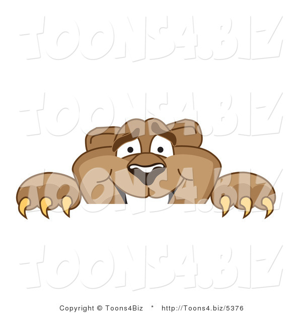 Vector Illustration of a Cartoon Cougar Mascot Character Peeking over a Surface