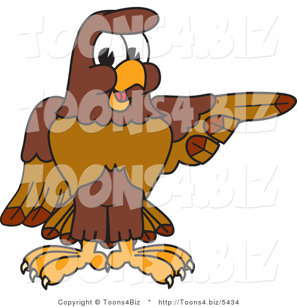 Vector Illustration of a Cartoon Falcon Mascot Character Pointing Right