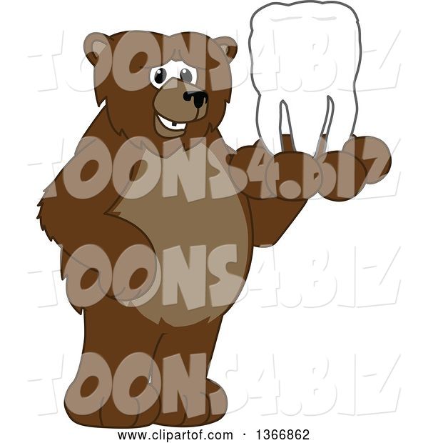 Vector Illustration of a Cartoon Grizzly Bear School Mascot Holding a Tooth