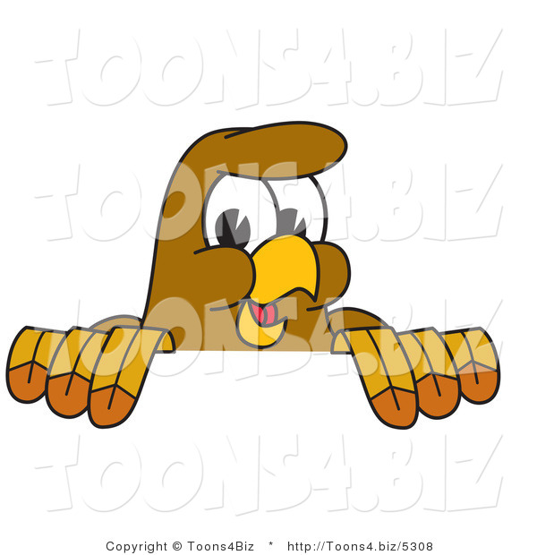 Vector Illustration of a Cartoon Hawk Mascot Character Looking over a Surface