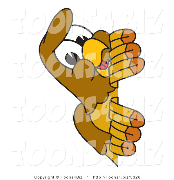 Vector Illustration of a Cartoon Hawk Mascot Character Peeking