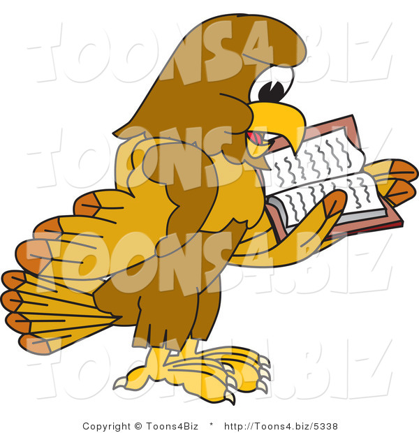 Vector Illustration of a Cartoon Hawk Mascot Character Reading