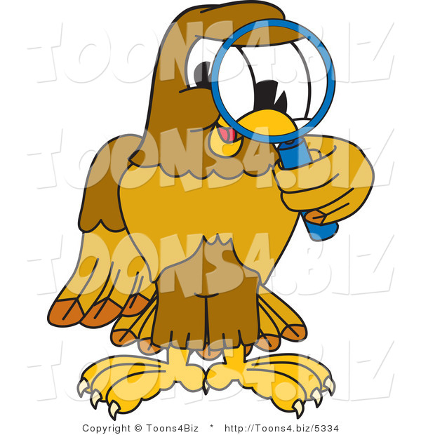 Vector Illustration of a Cartoon Hawk Mascot Character Using a Magnifying Glass