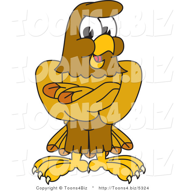 Vector Illustration of a Cartoon Hawk Mascot Character with His Arms Crossed