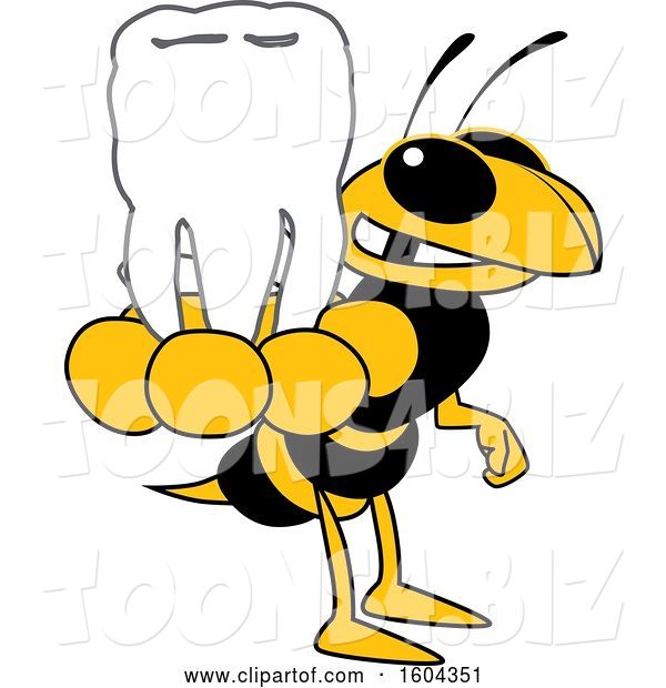Vector Illustration of a Cartoon Hornet School Mascot Holding a Tooth