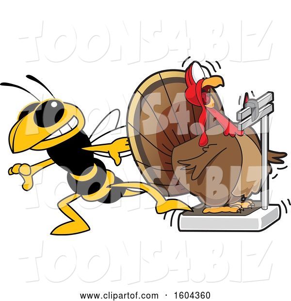 Vector Illustration of a Cartoon Hornet School Mascot Tricking a Turkey Bird Weighing Itself