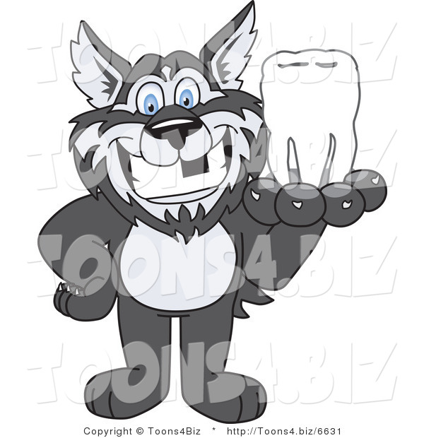 Vector Illustration of a Cartoon Husky Mascot Holding a Tooth
