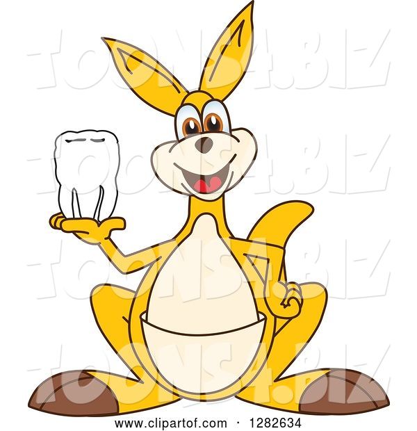 Vector Illustration of a Cartoon Kangaroo Mascot Holding a Tooth