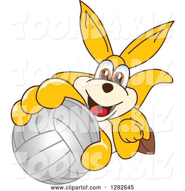 Vector Illustration of a Cartoon Kangaroo Mascot Holding up or Catching a Volleyball