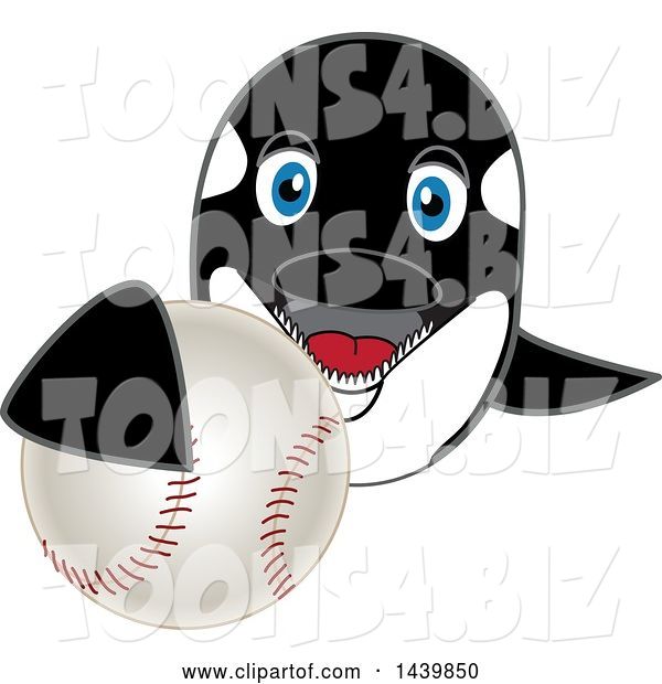 Vector Illustration of a Cartoon Killer Whale Orca Mascot Grabbing a Baseball