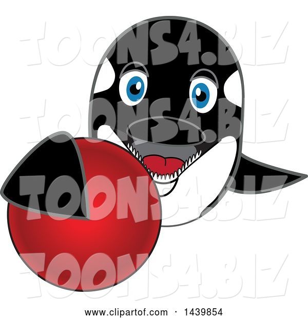 Vector Illustration of a Cartoon Killer Whale Orca Mascot Grabbing a Red Ball