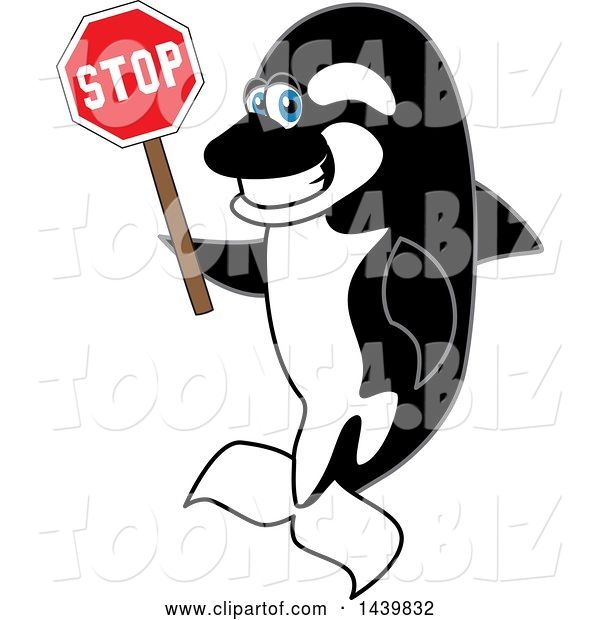 Vector Illustration of a Cartoon Killer Whale Orca Mascot Holding a Stop Sign
