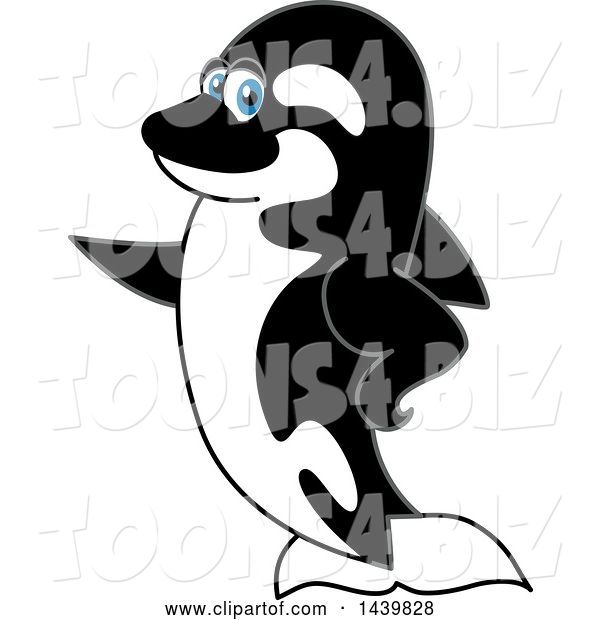 Vector Illustration of a Cartoon Killer Whale Orca Mascot Pointing