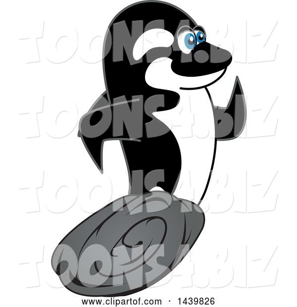 Vector Illustration of a Cartoon Killer Whale Orca Mascot Running