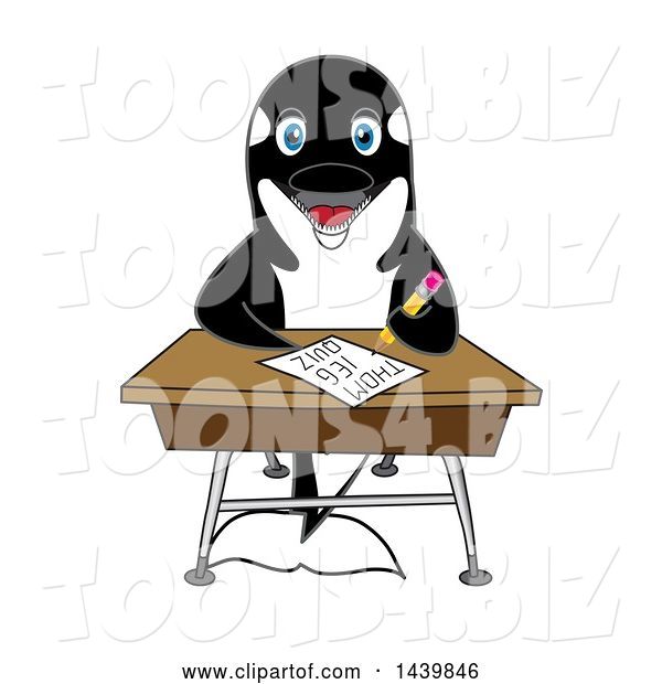Vector Illustration of a Cartoon Killer Whale Orca Mascot Student Taking a Quiz