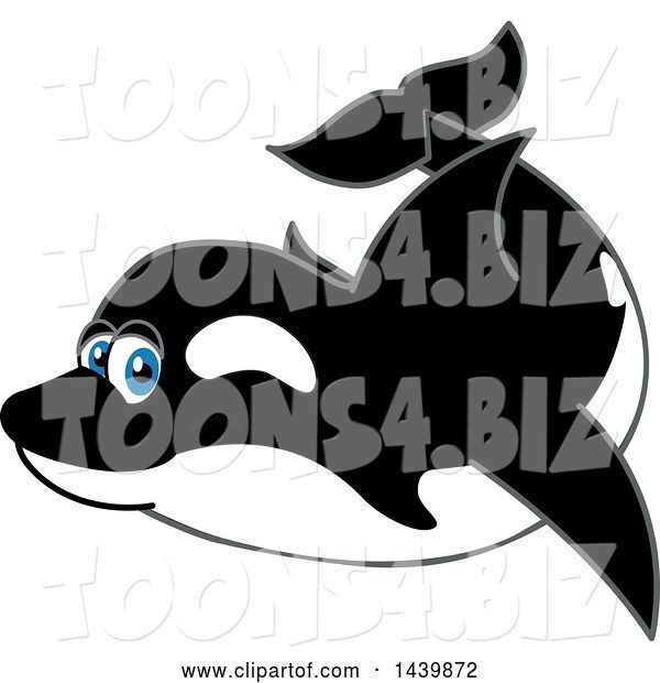 Vector Illustration of a Cartoon Killer Whale Orca Mascot Swimming