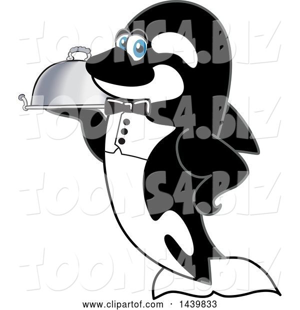 Vector Illustration of a Cartoon Killer Whale Orca Mascot Waiter Holding a Cloche Platter