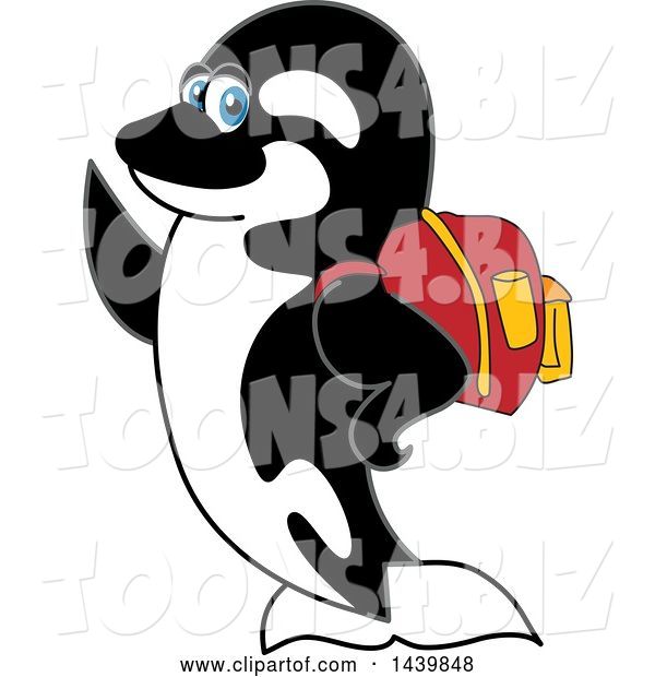 Vector Illustration of a Cartoon Killer Whale Orca Mascot Wearing a Backpack