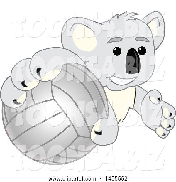 Vector Illustration of a Cartoon Koala Bear Mascot Grabbing a Volleyball