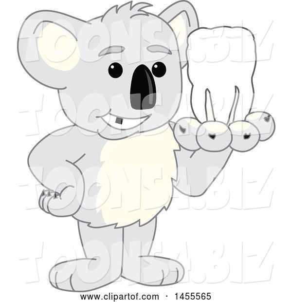 Vector Illustration of a Cartoon Koala Bear Mascot Holding a Tooth