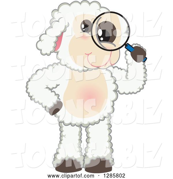 Vector Illustration of a Cartoon Lamb Mascot Looking Through a Magnifying Glass