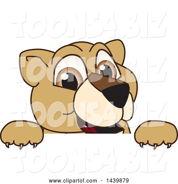 Vector Illustration of a Cartoon Lion Cub School Mascot Looking over a Sign