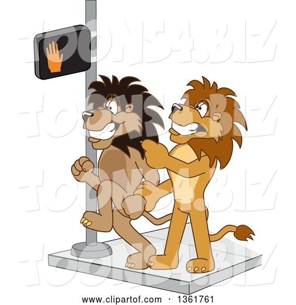 Vector Illustration of a Cartoon Lion Mascot Stopping Another from Using a Crosswalk at the Wrong Time, Symbolizing Safety